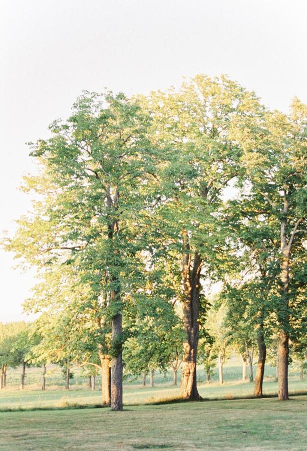 Chateau Saint-Joseph, Grand Gites 4 Etoiles En Pleine Nature Mazerolles-du-Razes エクステリア 写真