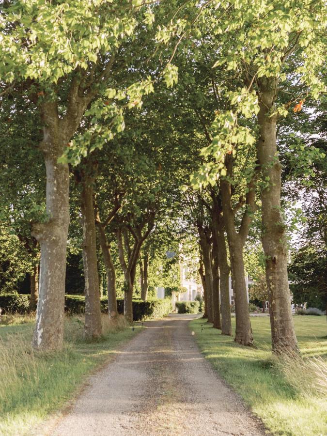 Chateau Saint-Joseph, Grand Gites 4 Etoiles En Pleine Nature Mazerolles-du-Razes エクステリア 写真