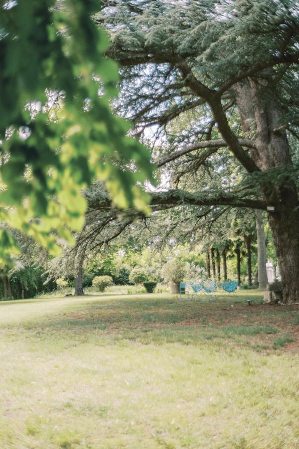 Chateau Saint-Joseph, Grand Gites 4 Etoiles En Pleine Nature Mazerolles-du-Razes エクステリア 写真