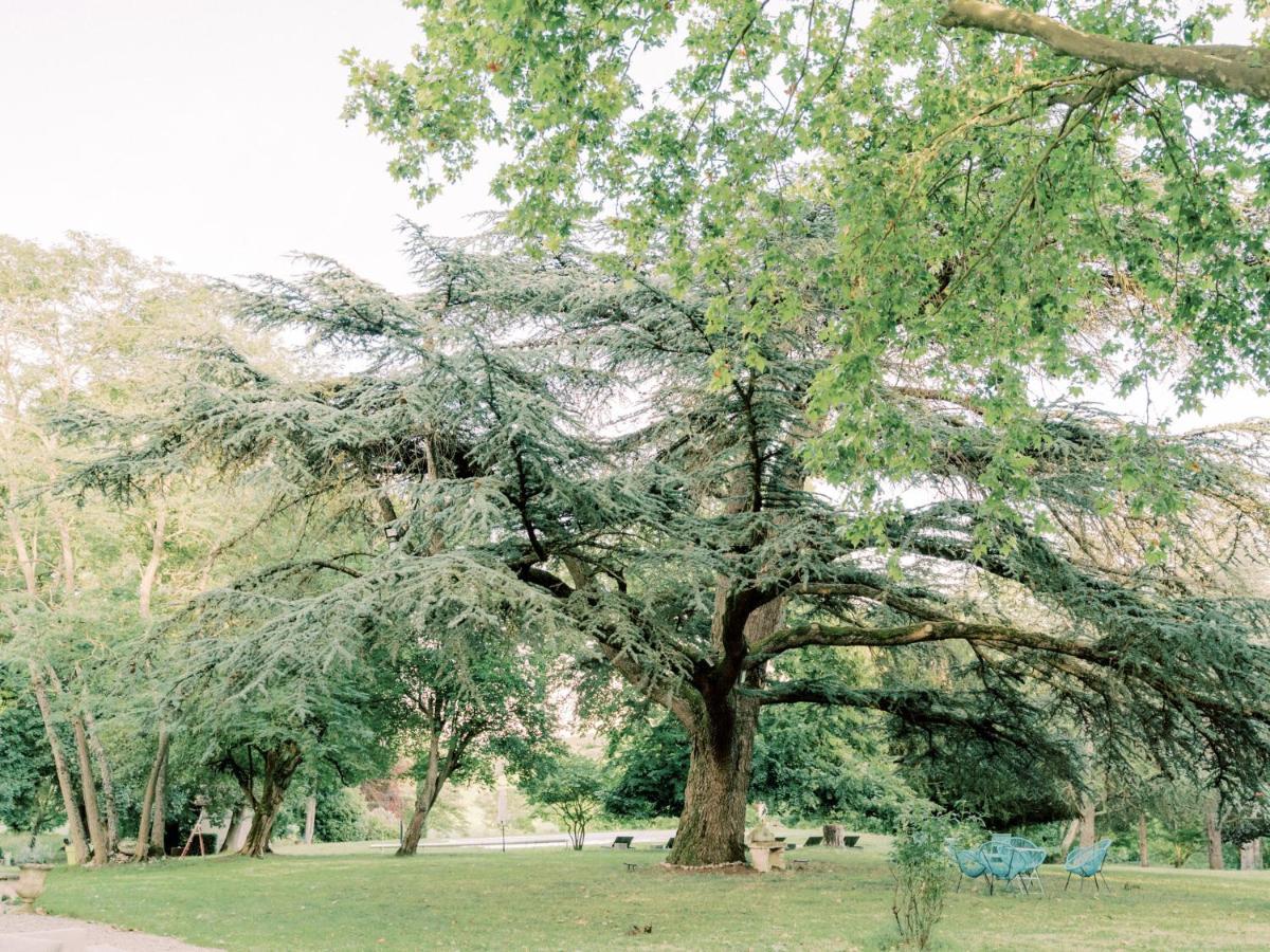 Chateau Saint-Joseph, Grand Gites 4 Etoiles En Pleine Nature Mazerolles-du-Razes エクステリア 写真