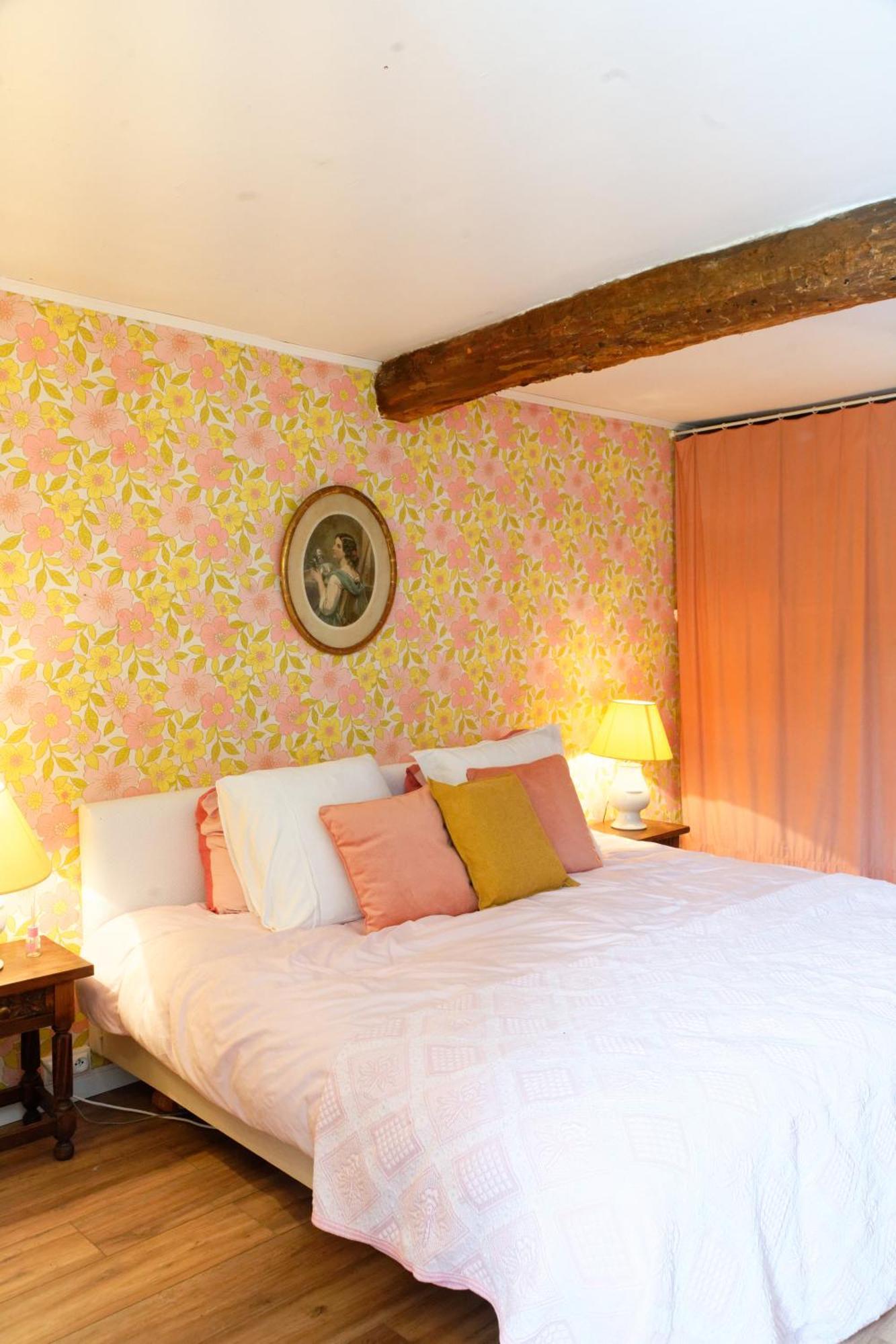 Chateau Saint-Joseph, Grand Gites 4 Etoiles En Pleine Nature Mazerolles-du-Razes 部屋 写真